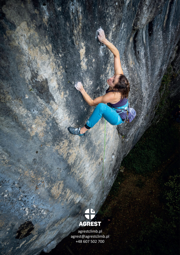 MandolinaBrochure_p04